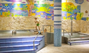 Bardejovské kúpele - wellness a iné atrakcie