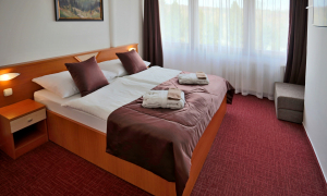 HOTEL ***  SOREA TITRIS Tatranská Lomnica